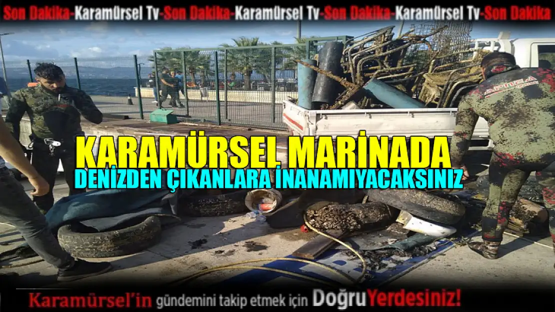 Karamürsel marinada denizden çıkanlar pes dedirtti