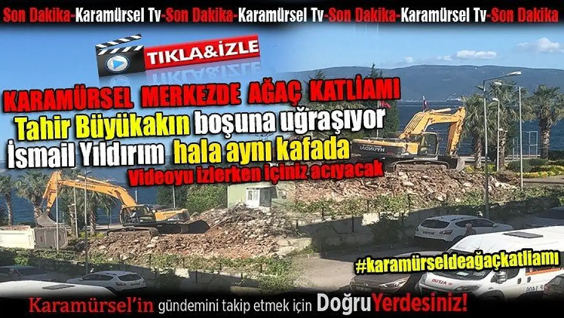 Karamürsel merkezde yapılan ağaç katliamı büyük tepki aldı!