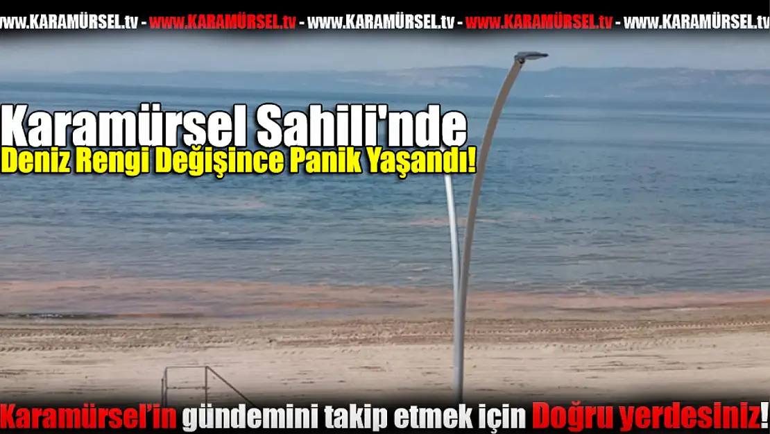 Karamürsel Sahili'nde Deniz Rengi Değişince Panik Yaşandı!
