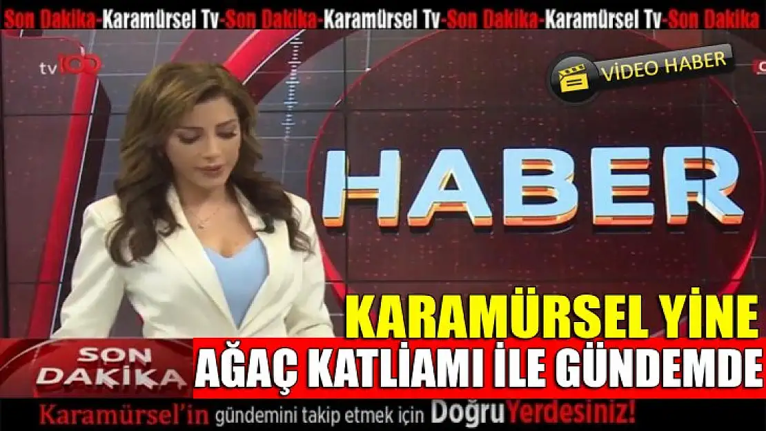 Karamürsel yine ağaç katliamları ile gündemde