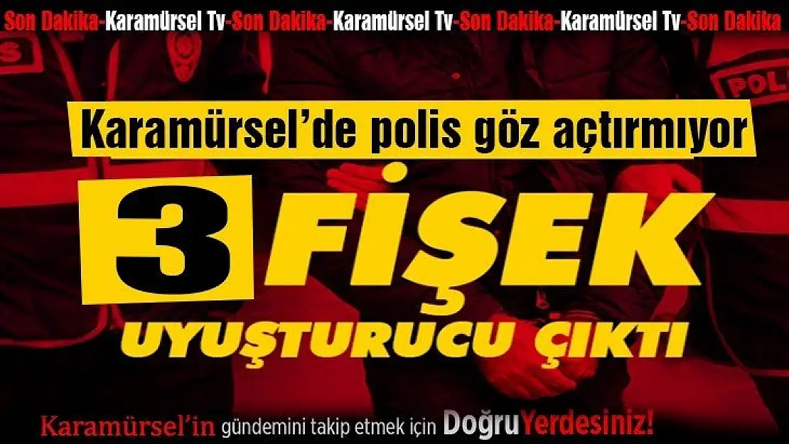 Karamürsel Yunus ekipleri geri döndü! Şimdi suçlular düşünsün!