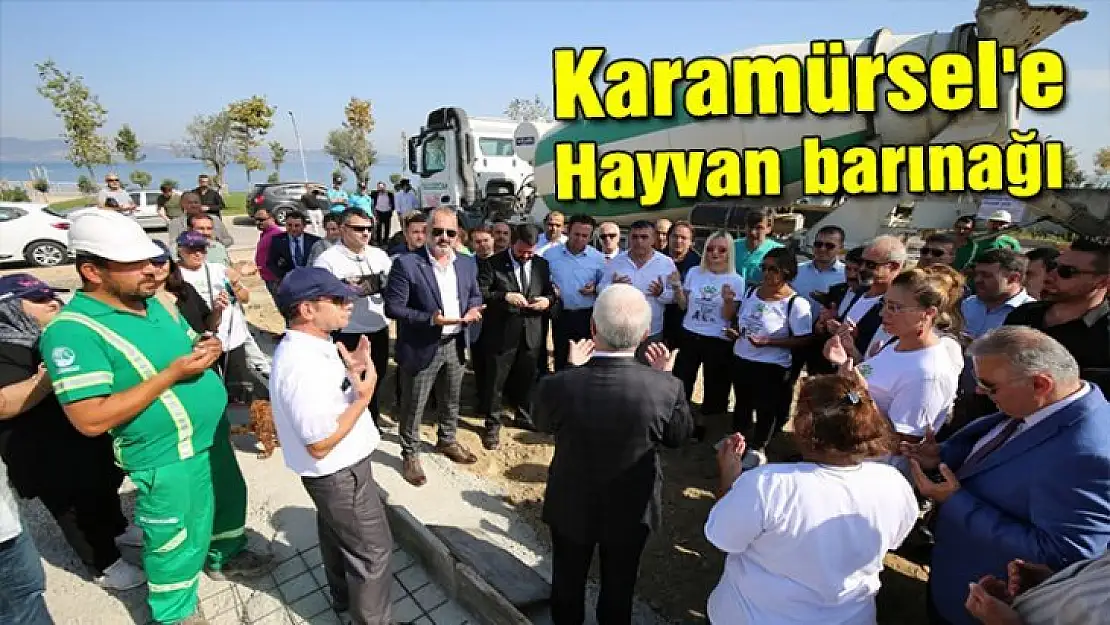 Karamürsel'e hayvan barınağı yapılıyor