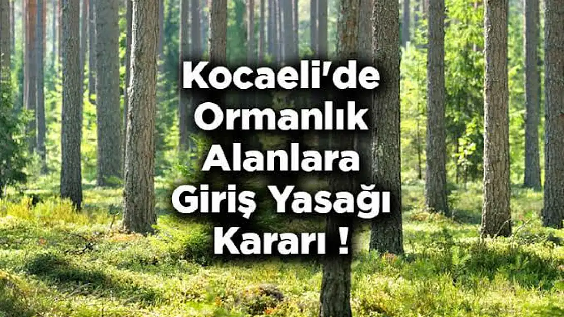 Kocaeli genelindeki tüm Ormanlara Girişler yasaklandı
