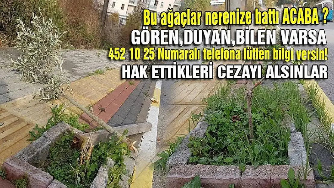 Lütfen paylaşın yakalanıp hak ettikleri cezayı alsınlar