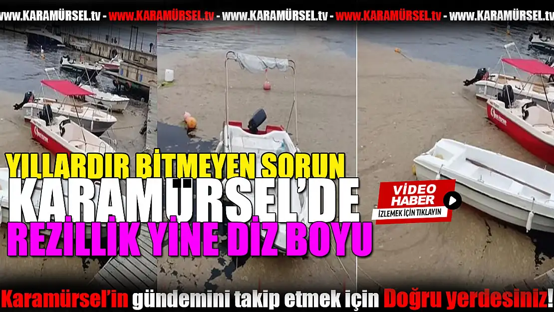 Nedenleri, Etkileri ve Çözüm yıllardır neden bulunmuyor?
