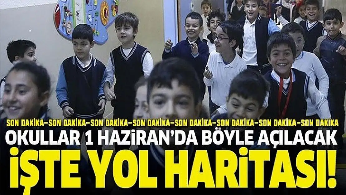 Okullar 1 Haziran'da böyle açılacak! İşte tüm detaylar