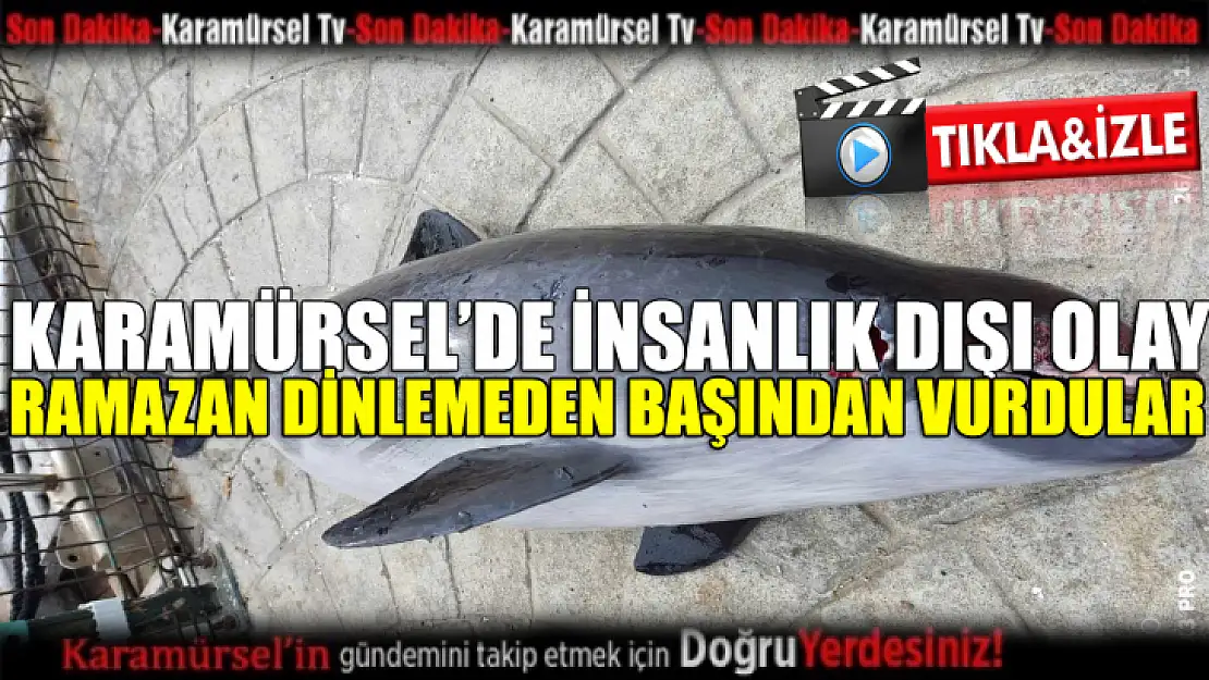 Ramazan günü demeden başından vurdular!