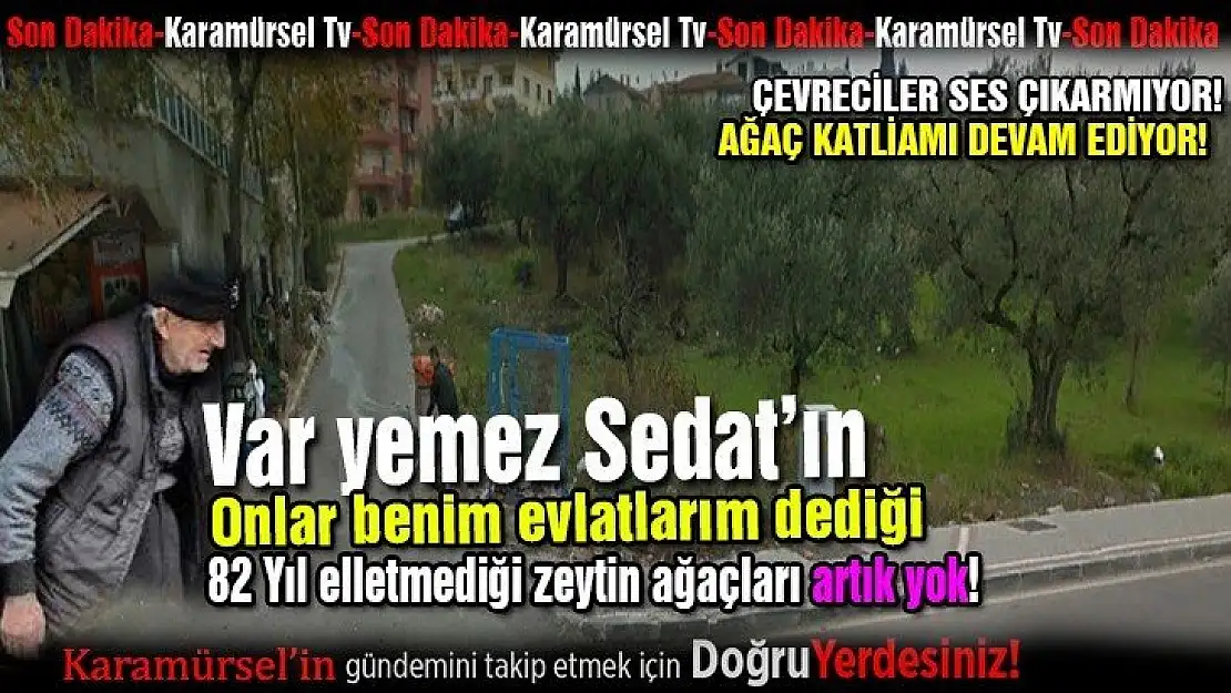 Var yemez Sedat amcanın kemikleri sızladı!