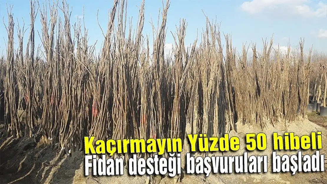 Yüzde 50 hibeli fidan desteği başvuruları başladı 