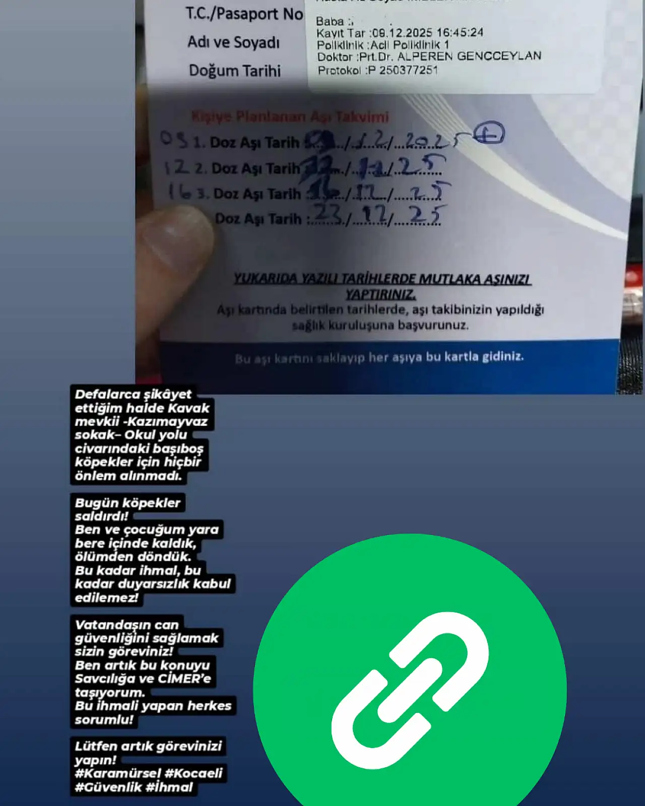 Anne ve Çocuklarına Köpek Sürüsü Saldırdı