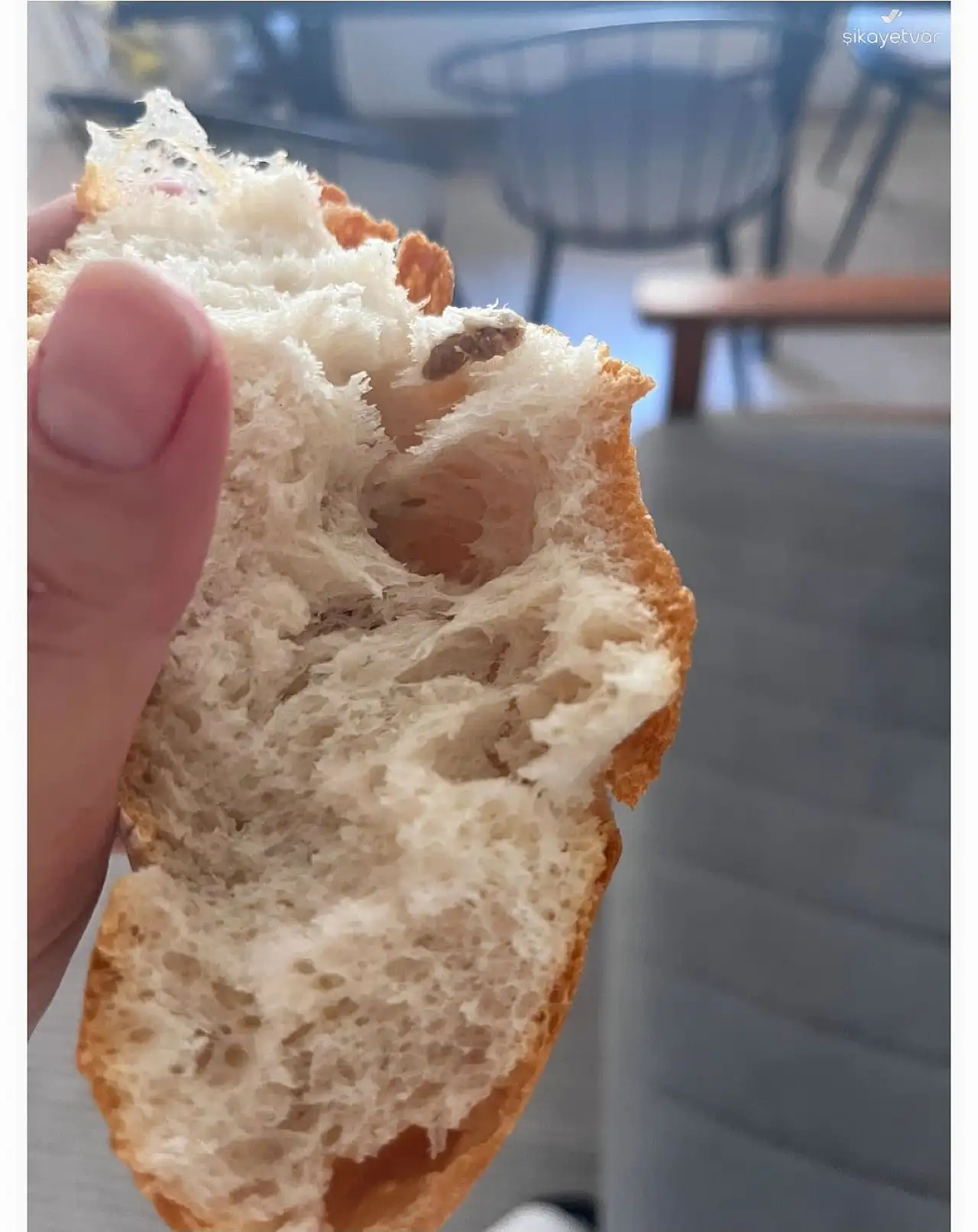 Alınan Ekmeğin İçinden Yabancı Madde Çıktı!