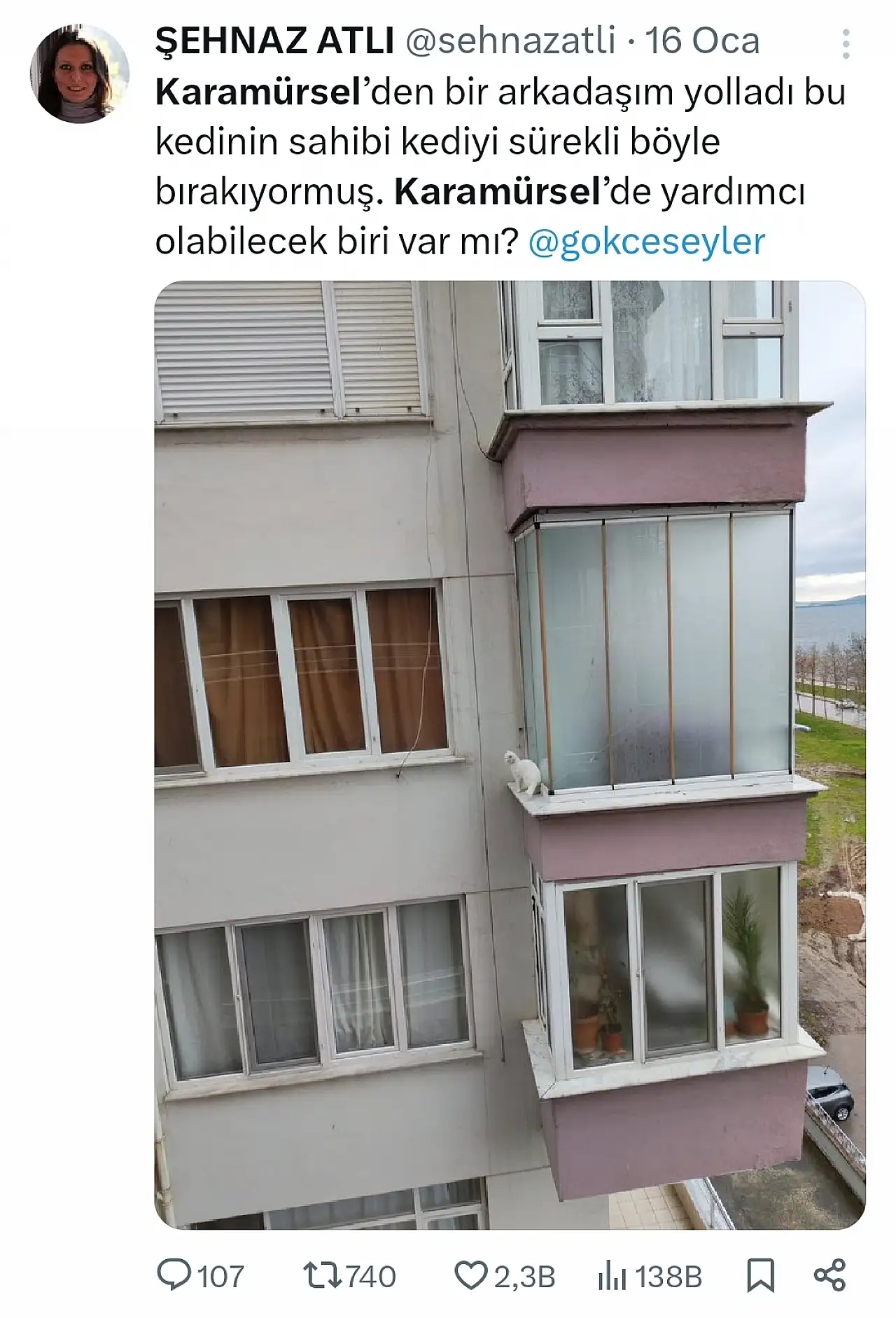 Karamürsel'de Yürekleri Ağza Getiren Görüntü!