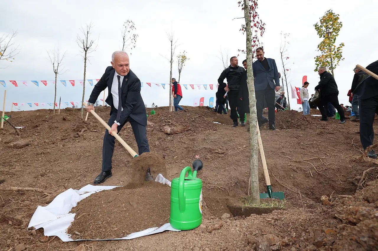Karamürsel 3 Bin Fidanla Yeniden Hayat Buldu!