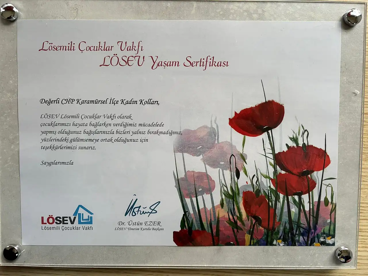 CHP Karamürsel Kadın Kolları'ndan LÖSEV'e 'Umut'