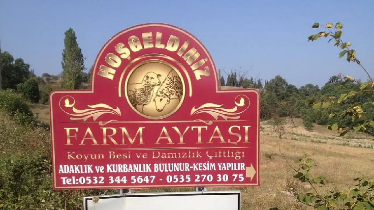 Karamürsel'de kurbanlıkta tek adres