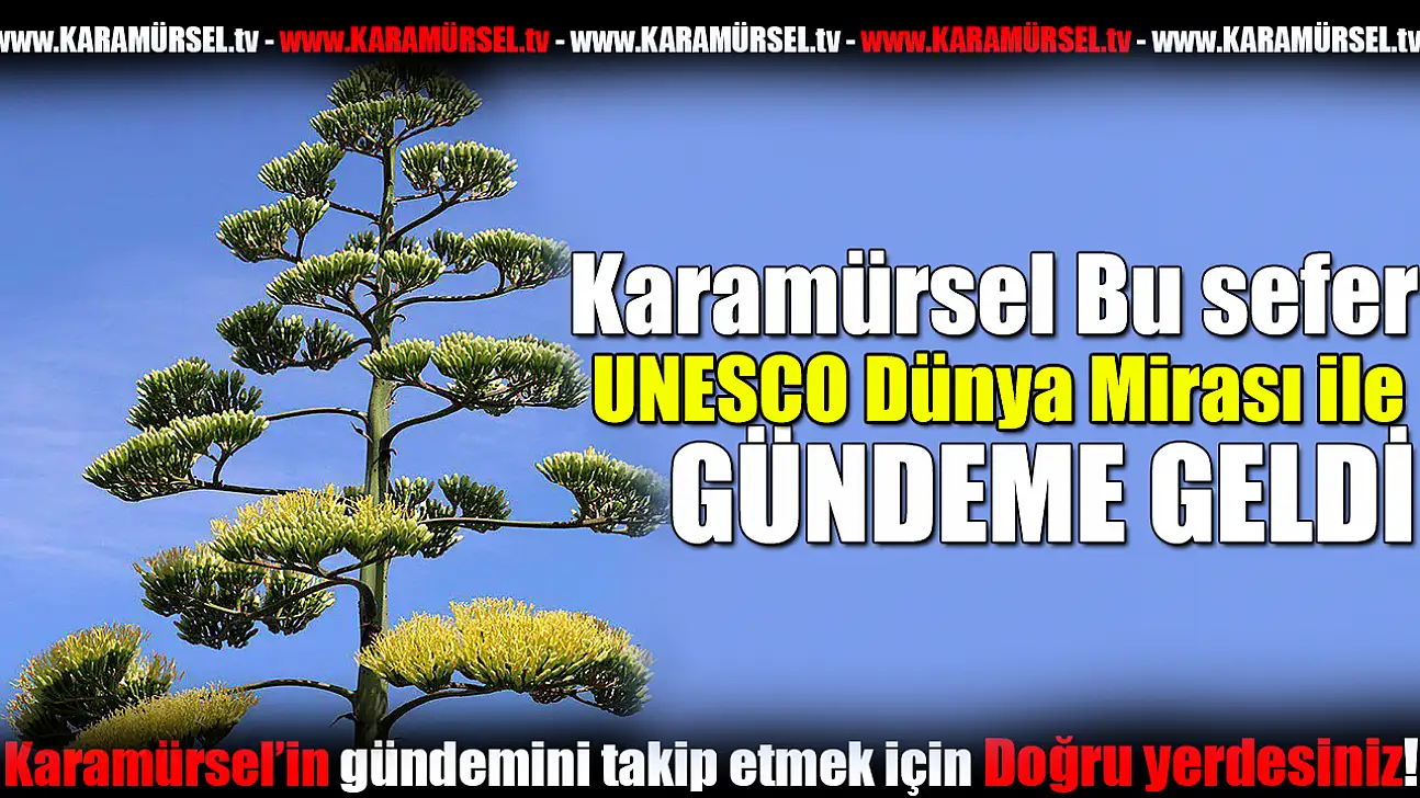 Karamürsel Ereğli'de Doğa Mucizesi