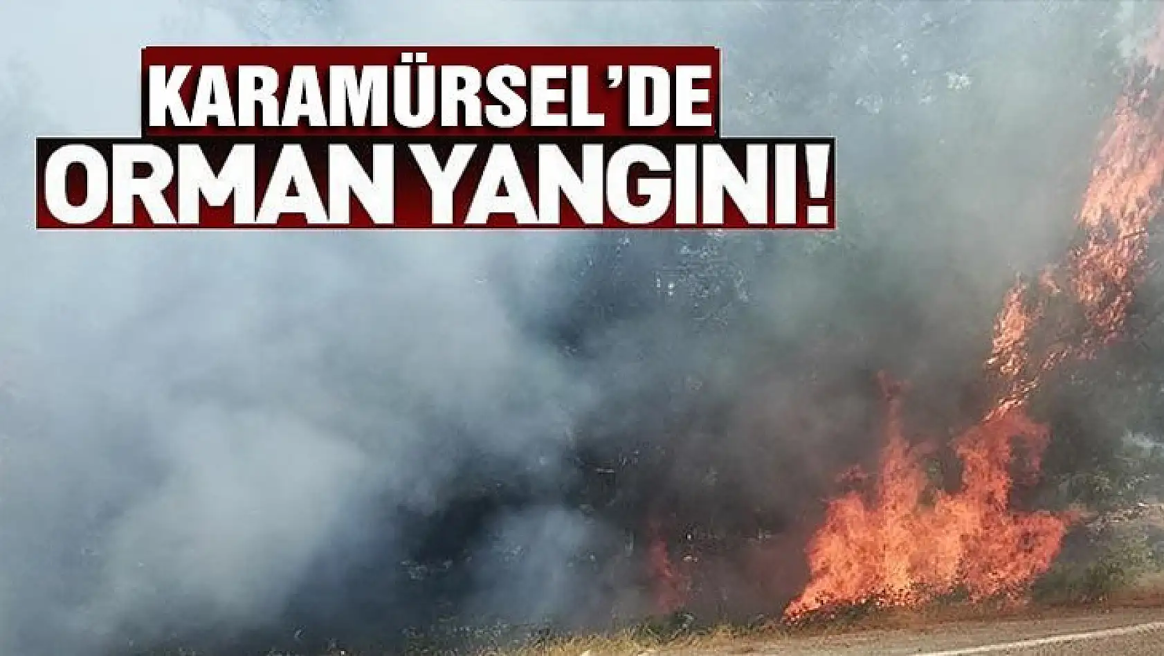 Karamürsel orman yangını