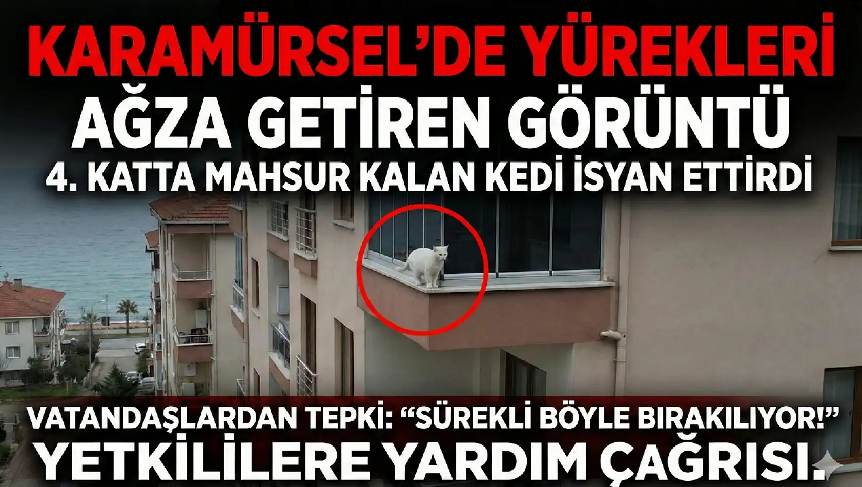 Karamürsel'de Yürekleri Ağza Getiren Görüntü!