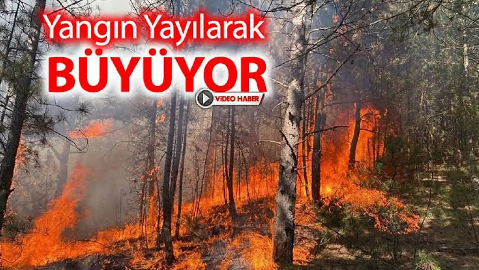 Orman Yangını Yerleşim Yerlerine Dayandı!