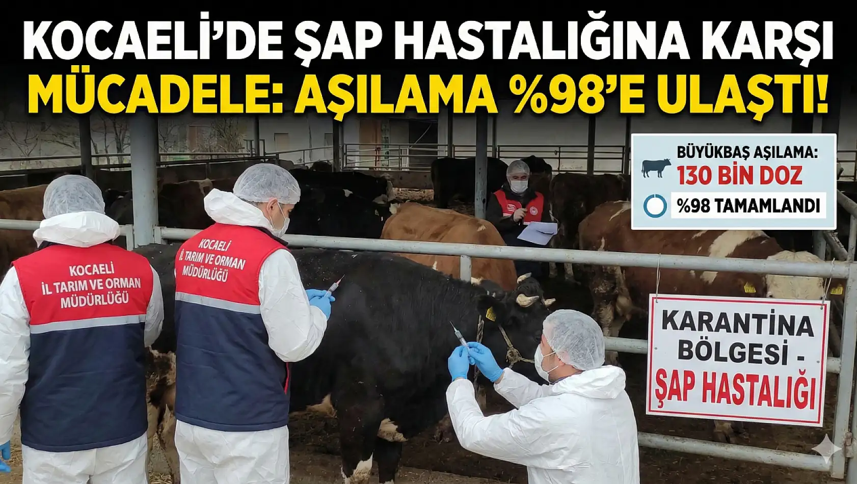 ŞAP TEHDİDİNE KARŞI DEV ÖNLEM