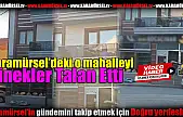 Sarıkum Mahallesi Sivrisinek İstilasına Uğradı!