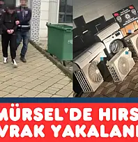Karamürsel'de 400 Bin TL'lik Vurgun