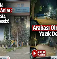 Karamürsel'de Okul Yolunda Büyük Tehlike