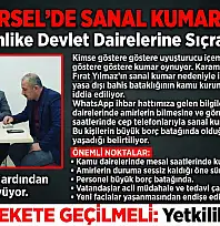 ​Karamürsel'de 'Sanal Kumar' Alarmı