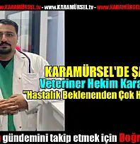 KARAMÜRSEL'DE ŞAP ALARMI!