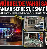 Karamürsel'de vahşi saldırı!