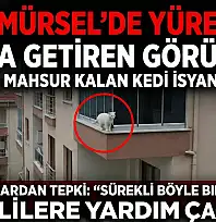 Karamürsel'de Yürekleri Ağza Getiren Görüntü!
