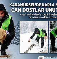 Karamürsel'in Yüksek Kesimlerinde Yürek Isıtan Görüntüler