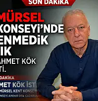 Kent Konseyi Başkanı Ahmet Kök İstifa Etti