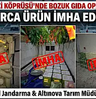 Osmangazi Köprüsü'nde yüklü miktarda Bozuk Gıda Ele Geçirildi