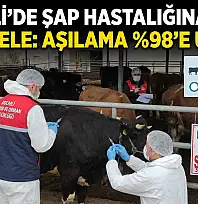 ŞAP TEHDİDİNE KARŞI DEV ÖNLEM