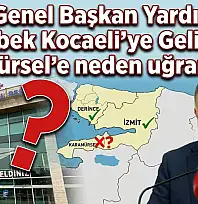 Zeybek, Karamürsel'e neden gelmiyor!