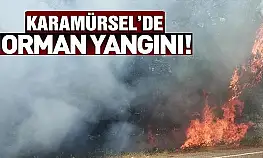 Karamürsel orman yangını
