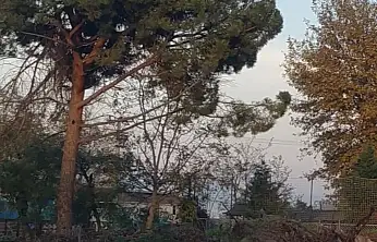 Ereğli'nin Kalbi Çöplüğe Dönüştü!