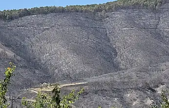 Karamürsel'de Kritik Gelişme Yasak Sona Erdi!