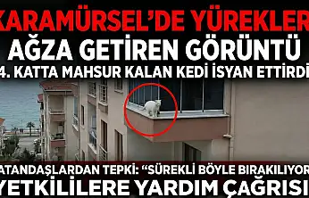 Karamürsel'de Yürekleri Ağza Getiren Görüntü!