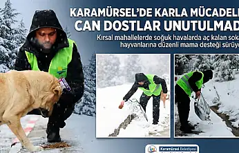 Karamürsel'in Yüksek Kesimlerinde Yürek Isıtan Görüntüler