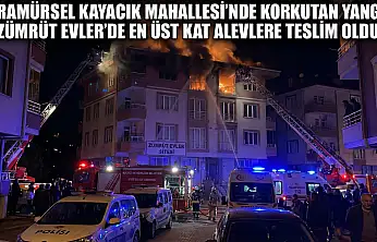 Karamürsel Kayacık Mahallesi'nde Korkutan Yangın