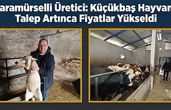 Karamürselli Et Üreticiden Piyaslizi