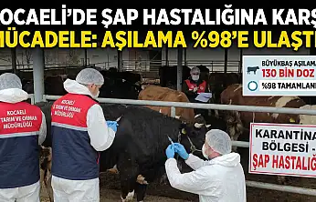 ŞAP TEHDİDİNE KARŞI DEV ÖNLEM