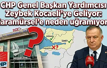 Zeybek, Karamürsel'e neden gelmiyor!