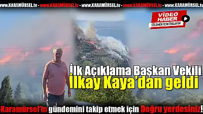 Başkan Vekili Kaya'dan Kritik Yangın Açıklaması