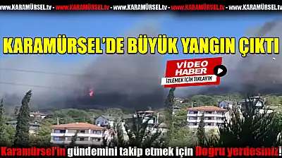 Karamürsel'de büyük yangın!