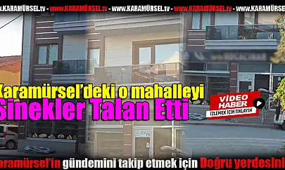 Sarıkum Mahallesi Sivrisinek İstilasına Uğradı!