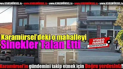 Sarıkum Mahallesi Sivrisinek İstilasına Uğradı!