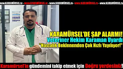 KARAMÜRSEL'DE ŞAP ALARMI!